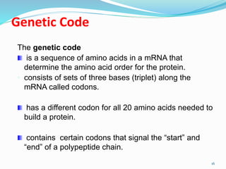 Genetic Code
The genetic code
is a sequence of amino acids in a mRNA that
determine the amino acid order for the protein.
• consists of sets of three bases (triplet) along the
mRNA called codons.
has a different codon for all 20 amino acids needed to
build a protein.
contains certain codons that signal the “start” and
“end” of a polypeptide chain.
16
 