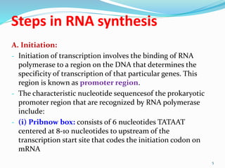 Steps in RNA synthesis
A. Initiation:
- Initiation of transcription involves the binding of RNA
polymerase to a region on the DNA that determines the
specificity of transcription of that particular genes. This
region is known as promoter region.
- The characteristic nucleotide sequencesof the prokaryotic
promoter region that are recognized by RNA polymerase
include:
- (i) Pribnow box: consists of 6 nucleotides TATAAT
centered at 8-10 nucleotides to upstream of the
transcription start site that codes the initiation codon on
mRNA
5
 