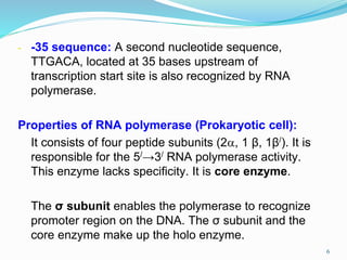 6
- -35 sequence: A second nucleotide sequence,
TTGACA, located at 35 bases upstream of
transcription start site is also recognized by RNA
polymerase.
Properties of RNA polymerase (Prokaryotic cell):
It consists of four peptide subunits (2, 1 β, 1β/). It is
responsible for the 5/→3/ RNA polymerase activity.
This enzyme lacks specificity. It is core enzyme.
The σ subunit enables the polymerase to recognize
promoter region on the DNA. The σ subunit and the
core enzyme make up the holo enzyme.
 