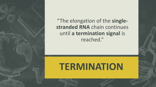 “The elongation of the single-
stranded RNA chain continues
until a termination signal is
reached.”
TERMINATION
 