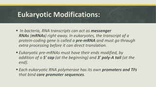 Eukaryotic Modifications:
 In bacteria, RNA transcripts can act as messenger
RNAs (mRNAs) right away. In eukaryotes, the transcript of a
protein-coding gene is called a pre-mRNA and must go through
extra processing before it can direct translation.
 Eukaryotic pre-mRNAs must have their ends modified, by
addition of a 5' cap (at the beginning) and 3' poly-A tail (at the
end).
 Each eukaryotic RNA polymerase has its own promoters and TFs
that bind core promoter sequences.
 