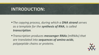 INTRODUCTION:
The copying process, during which a DNA strand serves
as a template for the synthesis of RNA, is called
transcription.
Transcription produces messenger RNAs (mRNAs) that
are translated into sequences of amino acids,
polypeptide chains or proteins.
 