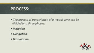 PROCESS:
 The process of transcription of a typical gene can be
divided into three phases:
• Initiation
• Elongation
• Termination
 