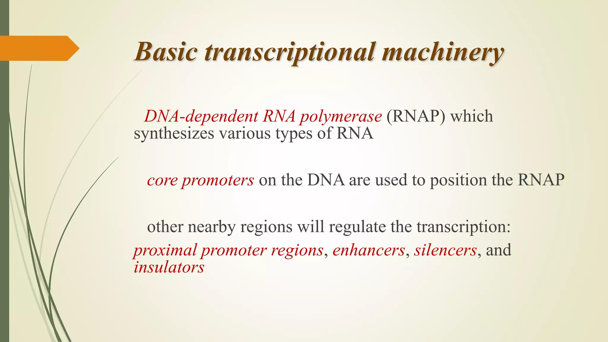 Transcription regulatory elements | PPTX