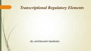 Transcriptional Regulatory Elements
by: amirhossein heydarian
 