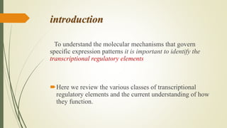 Transcription regulatory elements | PPTX
