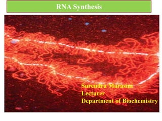 RNA Synthesis
Surendra Marasini
Lecturer
Department of Biochemistry
 