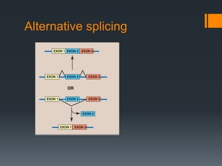 Alternative splicing
 