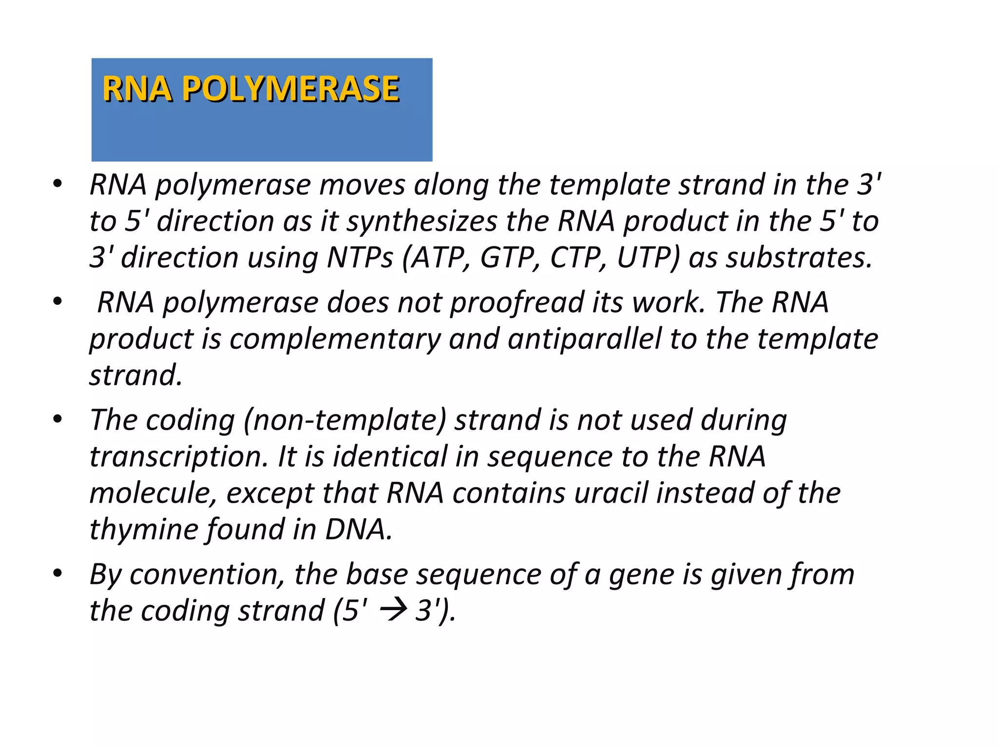 • RNA polymerase moves along the template strand in the 3'
to 5' direction as it synthesizes the RNA product in the 5' to
3' direction using NTPs (ATP, GTP, CTP, UTP) as substrates.
• RNA polymerase does not proofread its work. The RNA
product is complementary and antiparallel to the template
strand.
• The coding (non-template) strand is not used during
transcription. It is identical in sequence to the RNA
molecule, except that RNA contains uracil instead of the
thymine found in DNA.
• By convention, the base sequence of a gene is given from
the coding strand (5'  3').
RNA POLYMERASERNA POLYMERASE
 