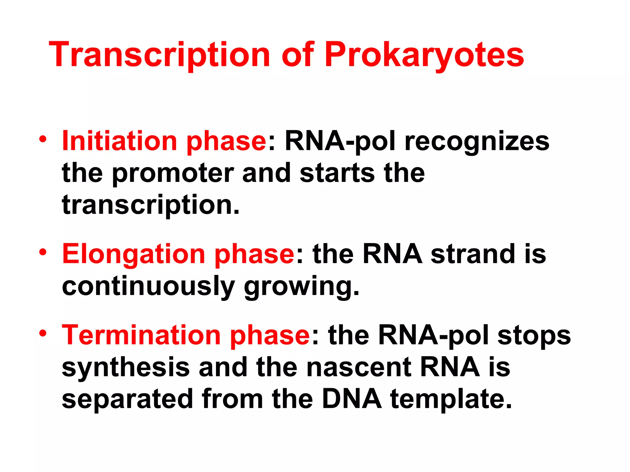 • Initiation phase: RNA-pol recognizes
the promoter and starts the
transcription.
• Elongation phase: the RNA strand is
continuously growing.
• Termination phase: the RNA-pol stops
synthesis and the nascent RNA is
separated from the DNA template.
Transcription of Prokaryotes
 