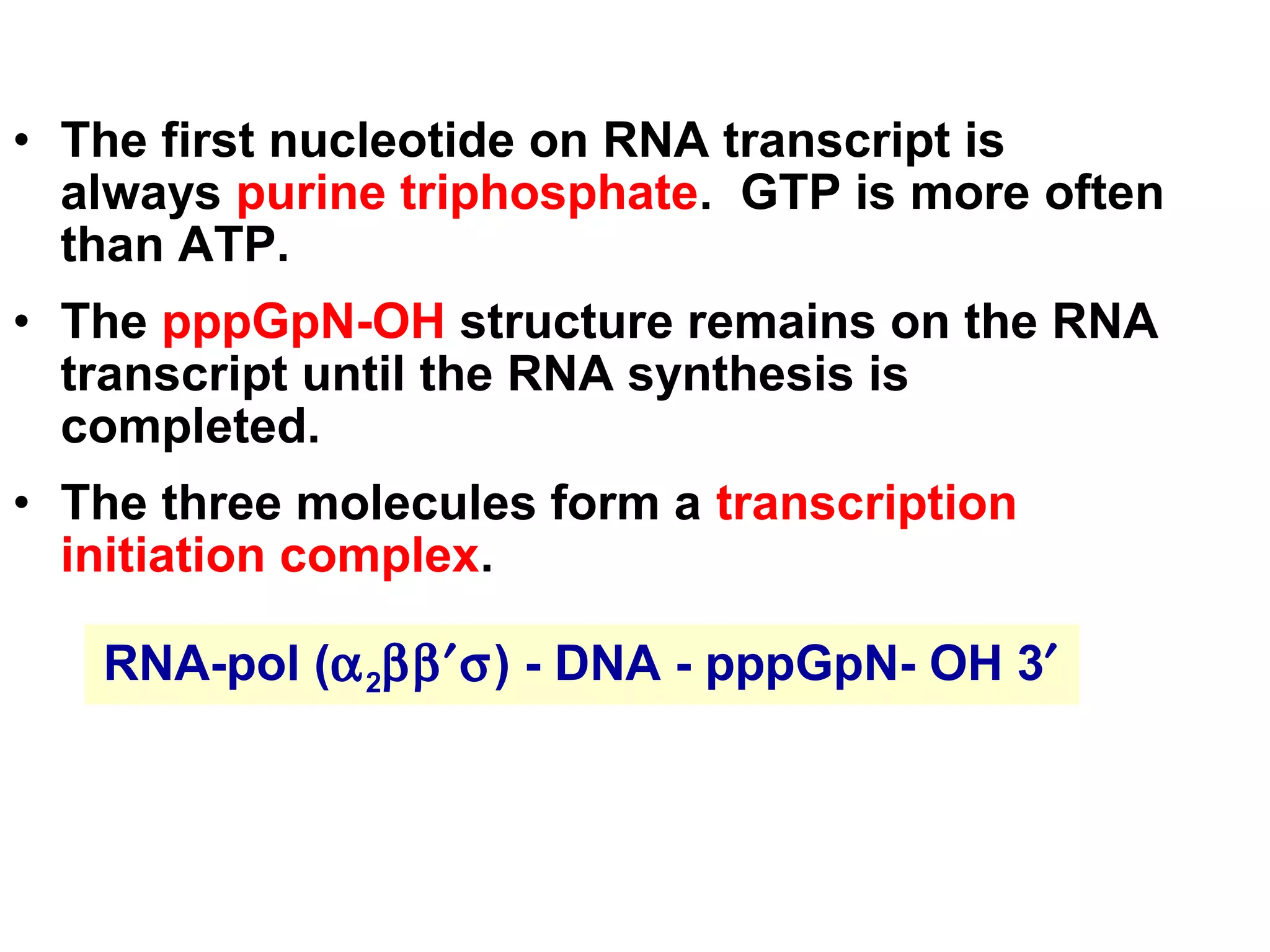 • The first nucleotide on RNA transcript is
always purine triphosphate. GTP is more often
than ATP.
• The pppGpN-OH structure remains on the RNA
transcript until the RNA synthesis is
completed.
• The three molecules form a transcription
initiation complex.
RNA-pol (α2ββ′σ) - DNA - pppGpN- OH 3′
 