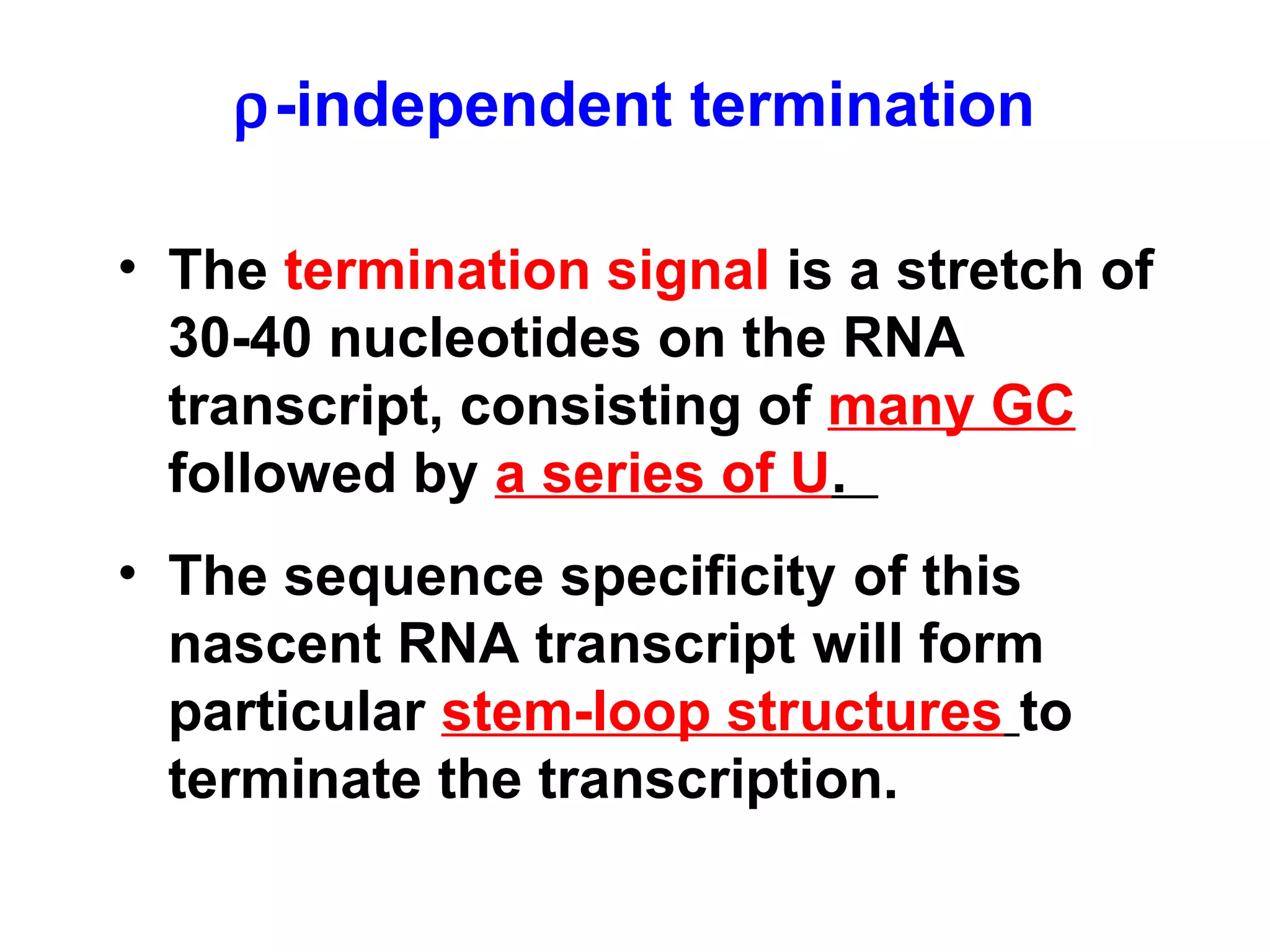 ρ-independent termination
• The termination signal is a stretch of
30-40 nucleotides on the RNA
transcript, consisting of many GC
followed by a series of U.
• The sequence specificity of this
nascent RNA transcript will form
particular stem-loop structures to
terminate the transcription.
 