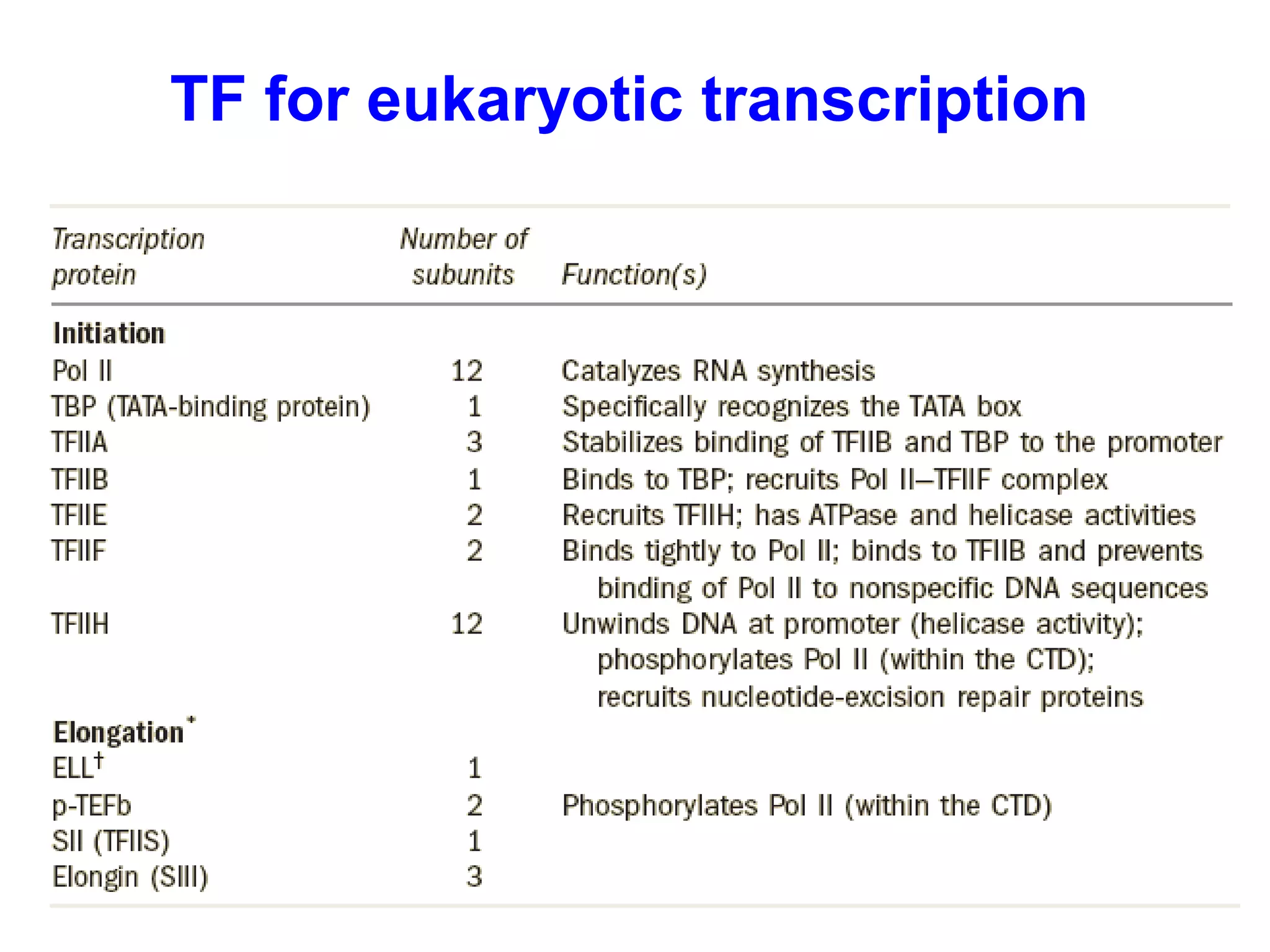 TF for eukaryotic transcription
 