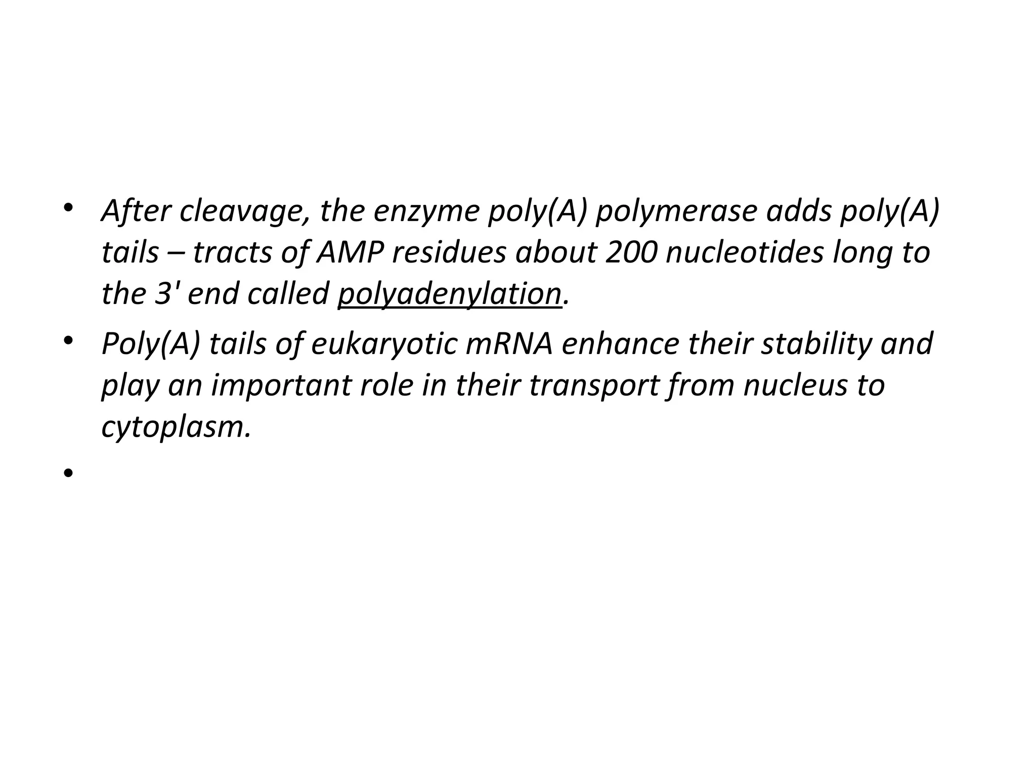 • After cleavage, the enzyme poly(A) polymerase adds poly(A)
tails – tracts of AMP residues about 200 nucleotides long to
the 3' end called polyadenylation.
• Poly(A) tails of eukaryotic mRNA enhance their stability and
play an important role in their transport from nucleus to
cytoplasm.
•
 