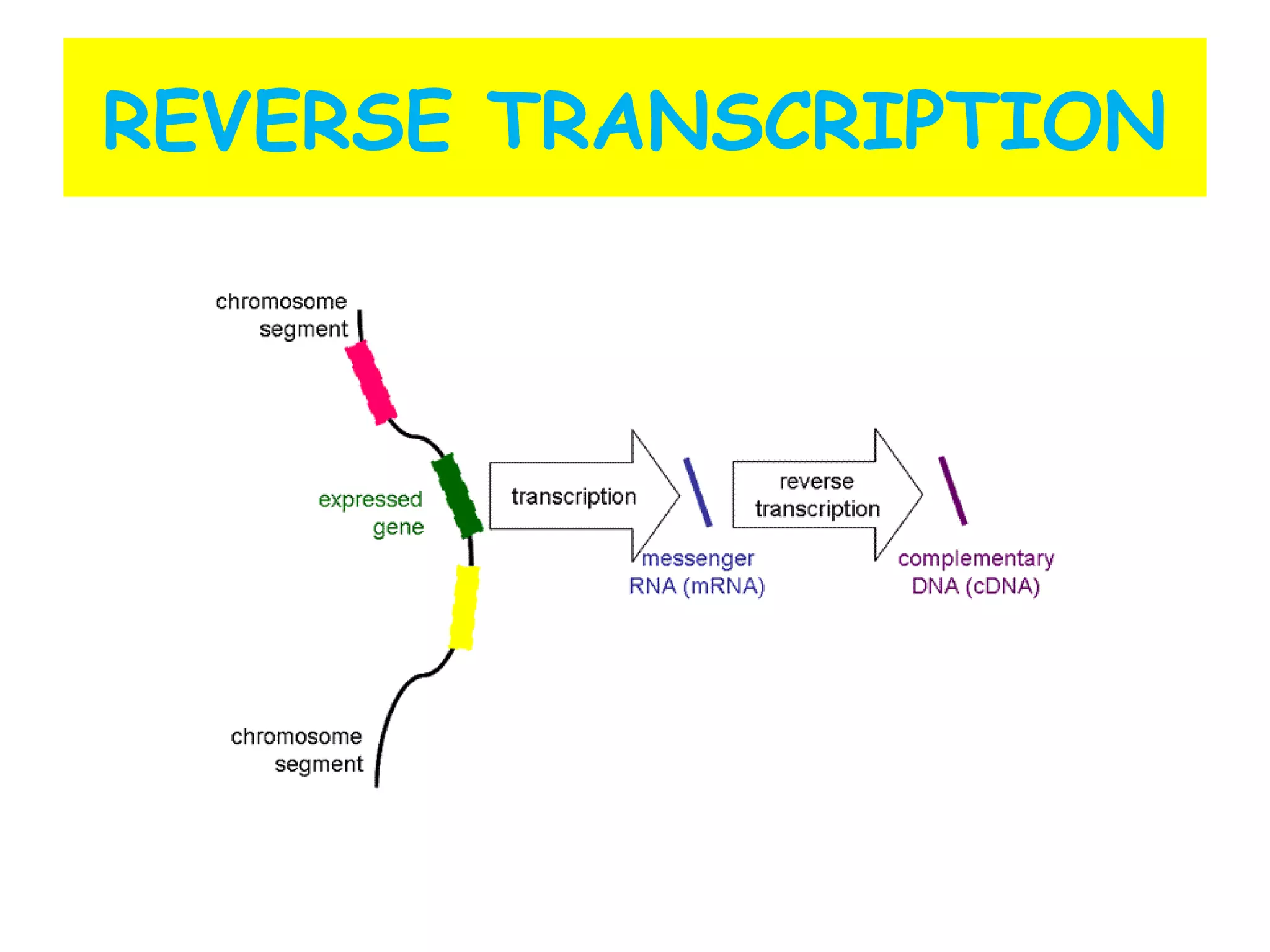 REVERSE TRANSCRIPTION
 