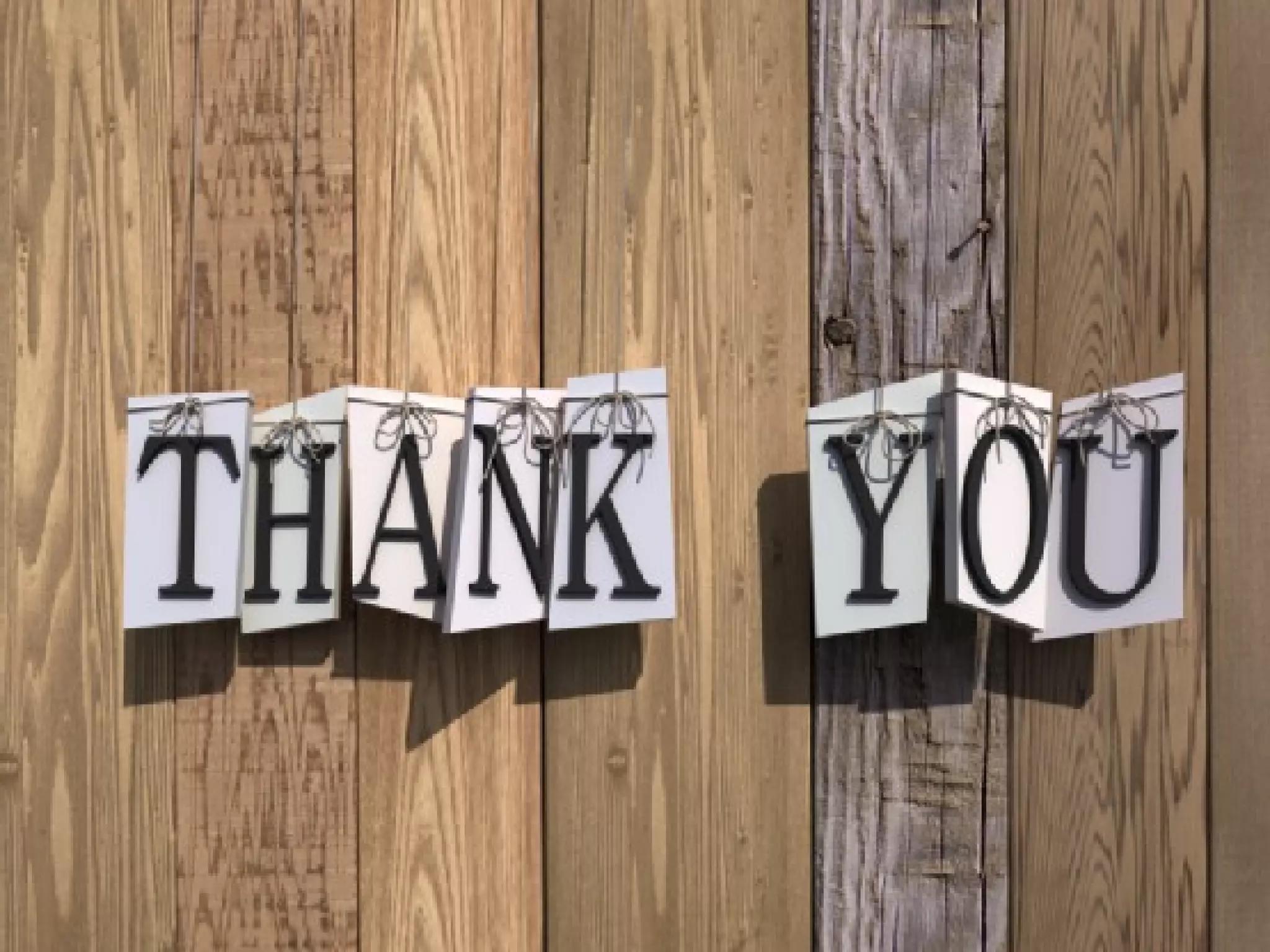 Transcription (term paper) by Ganesh M