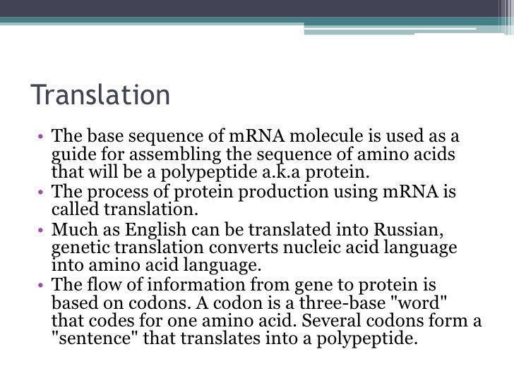 4.3 Transcription and translation