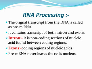 RNA Processing :-
 The orignal transcript from the DNA is called
as pre-m RNA.
 It contains transcript of both intron and exons.
Intron:- it is non-coding sections of nucleic
acid found between coding regions.
Exons:-coding regions of nucleic acids
 Pre-mRNA never leaves the cell’s nucleus.
 