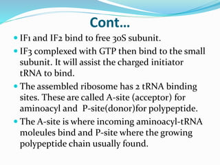 Cont…
 IF1 and IF2 bind to free 30S subunit.
 IF3 complexed with GTP then bind to the small
subunit. It will assist the charged initiator
tRNA to bind.
 The assembled ribosome has 2 tRNA binding
sites. These are called A-site (acceptor) for
aminoacyl and P-site(donor)for polypeptide.
 The A-site is where incoming aminoacyl-tRNA
moleules bind and P-site where the growing
polypeptide chain usually found.
 