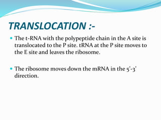TRANSLOCATION :-
 The t-RNA with the polypeptide chain in the A site is
translocated to the P site. tRNA at the P site moves to
the E site and leaves the ribosome.
 The ribosome moves down the mRNA in the 5’-3’
direction.
 