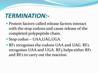 TERMINATION:-
 Protein factors called release factors interact
with the stop codons and cause release of the
completed polypeptide chain.
 Stop codon – UAA,UAG,UGA.
 RF1 recognises the codons UAA and UAG. RF2
recognises UAA and UGA. RF3 helps either RF1
and RF2 to carry out the reaction.
 