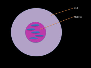 Cell


Nucleus
 