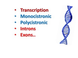 • Transcription
• Monocistronic
• Polycistronic
• Introns
• Exons..
 