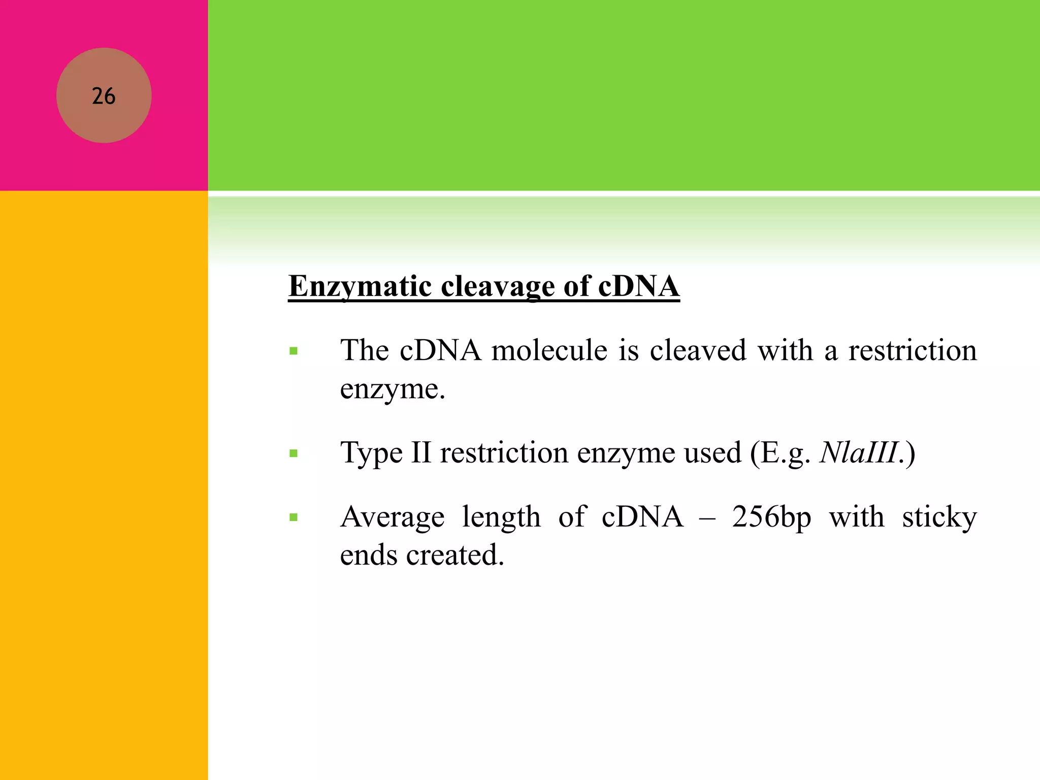 Enzymatic cleavage of cDNA
 The cDNA molecule is cleaved with a restriction
enzyme.
 Type II restriction enzyme used (E.g. NlaIII.)
 Average length of cDNA – 256bp with sticky
ends created.
26
 