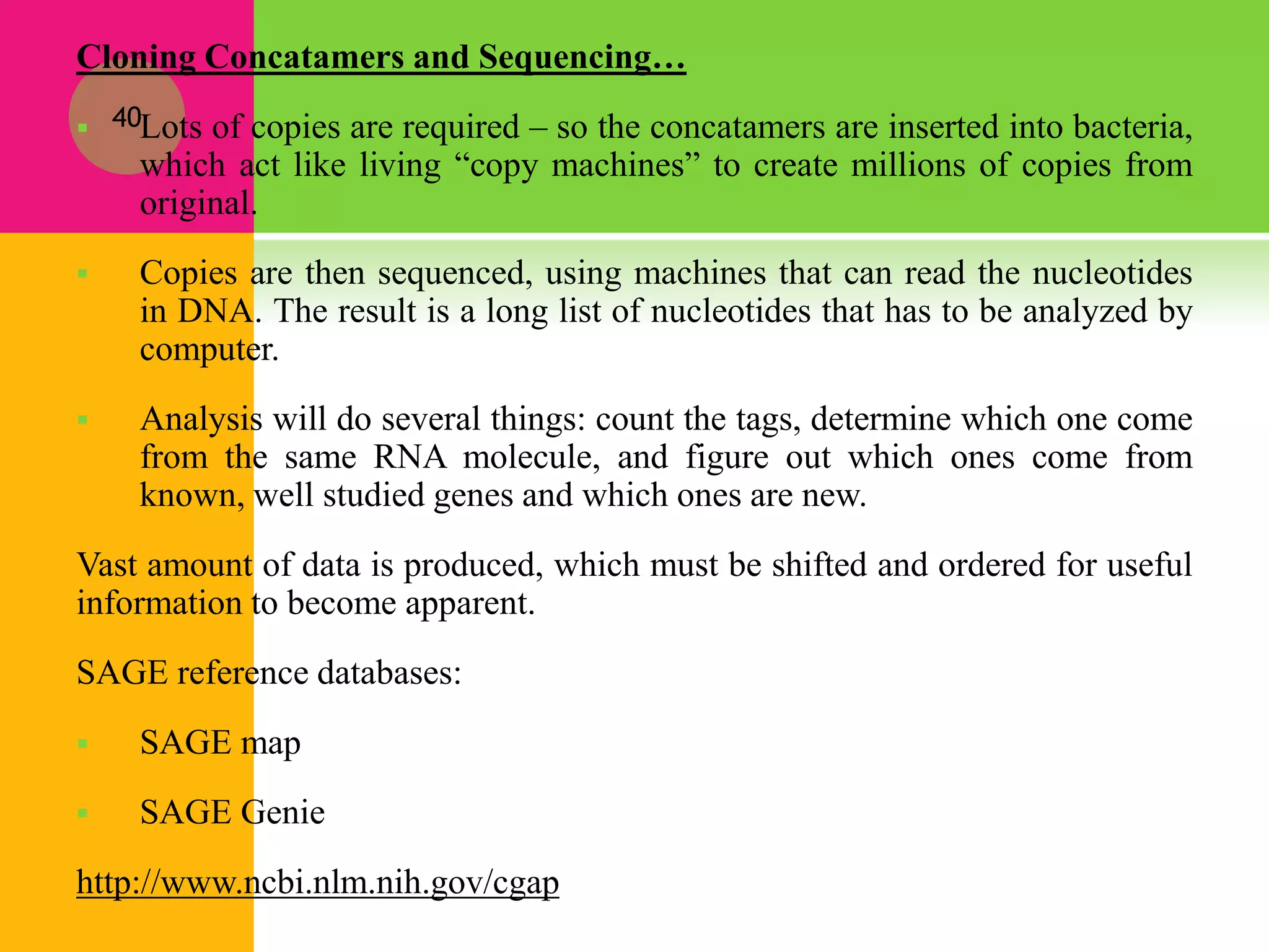 Cloning Concatamers and Sequencing…
 Lots of copies are required – so the concatamers are inserted into bacteria,
which act like living “copy machines” to create millions of copies from
original.
 Copies are then sequenced, using machines that can read the nucleotides
in DNA. The result is a long list of nucleotides that has to be analyzed by
computer.
 Analysis will do several things: count the tags, determine which one come
from the same RNA molecule, and figure out which ones come from
known, well studied genes and which ones are new.
Vast amount of data is produced, which must be shifted and ordered for useful
information to become apparent.
SAGE reference databases:
 SAGE map
 SAGE Genie
http://www.ncbi.nlm.nih.gov/cgap
40
 