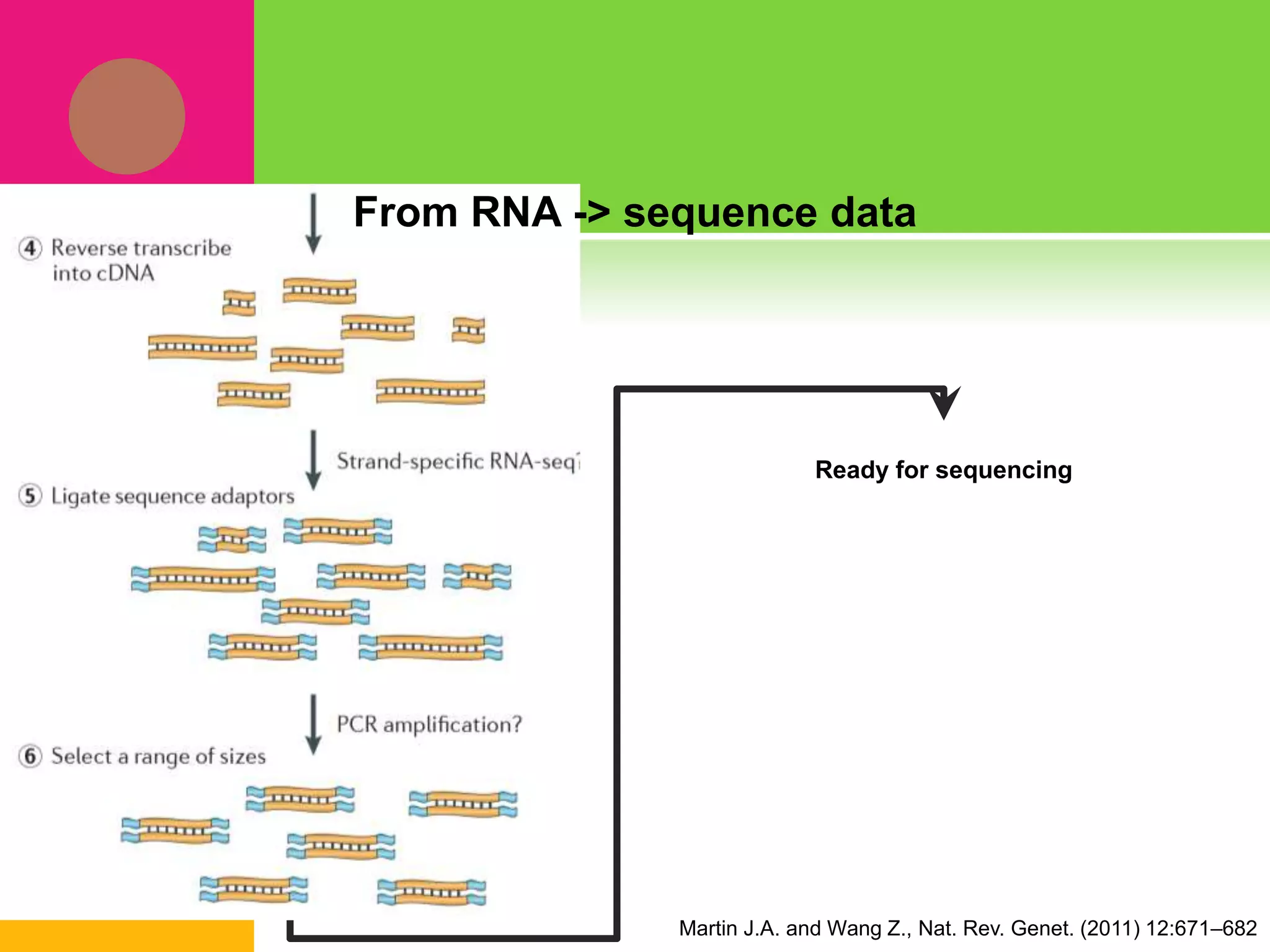 Martin J.A. and Wang Z., Nat. Rev. Genet. (2011) 12:671–682
From RNA -> sequence data
Ready for sequencing
 