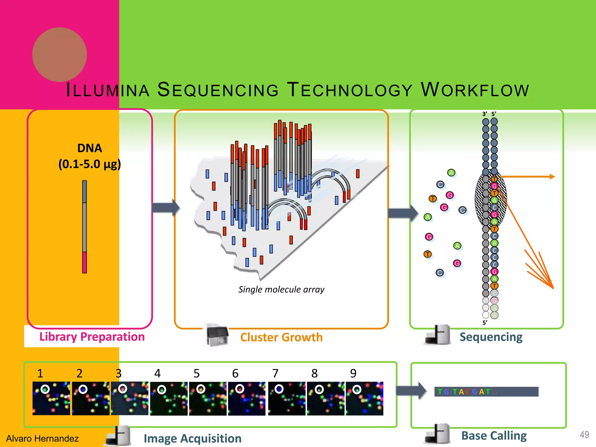 Library Preparation
DNA
(0.1-5.0 μg)
1 2 3 7 8 94 5 6
T G T A C G A T …
ILLUMINA SEQUENCING TECHNOLOGY WORKFLOW
C
C
C
C
A
A
A
T
T
G
G
G
G
Sequencing
Single molecule array
Cluster Growth
Image Acquisition Base Calling
5’
5’3’
T
G
T
A
C
G
A
T
C
A
C
C
C
G
A
T
C
G
A
A
49Alvaro Hernandez
 