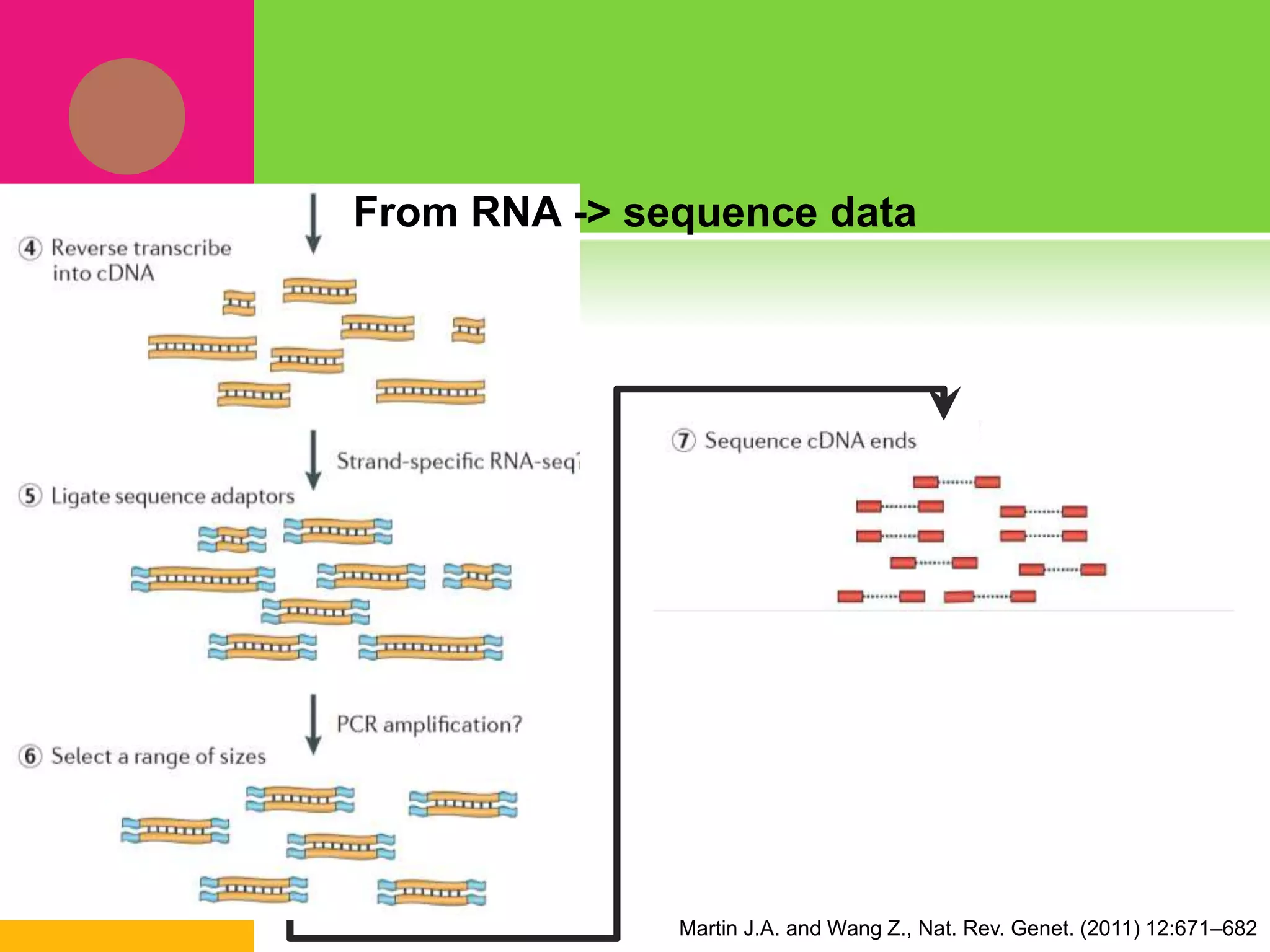 Martin J.A. and Wang Z., Nat. Rev. Genet. (2011) 12:671–682
From RNA -> sequence data
 