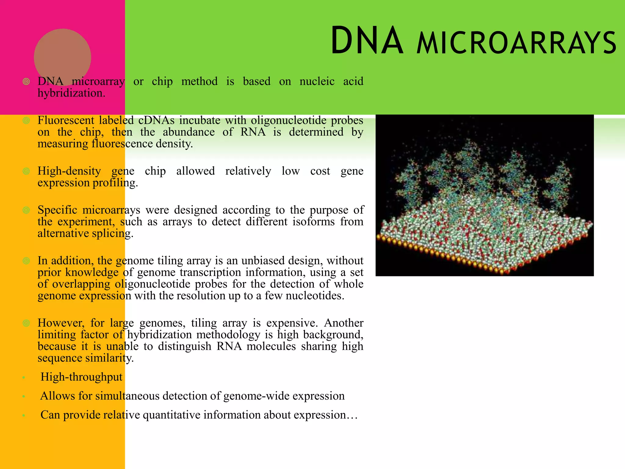 DNA MICROARRAYS
 DNA microarray or chip method is based on nucleic acid
hybridization.
 Fluorescent labeled cDNAs incubate with oligonucleotide probes
on the chip, then the abundance of RNA is determined by
measuring fluorescence density.
 High-density gene chip allowed relatively low cost gene
expression profiling.
 Specific microarrays were designed according to the purpose of
the experiment, such as arrays to detect different isoforms from
alternative splicing.
 In addition, the genome tiling array is an unbiased design, without
prior knowledge of genome transcription information, using a set
of overlapping oligonucleotide probes for the detection of whole
genome expression with the resolution up to a few nucleotides.
 However, for large genomes, tiling array is expensive. Another
limiting factor of hybridization methodology is high background,
because it is unable to distinguish RNA molecules sharing high
sequence similarity.
• High-throughput
• Allows for simultaneous detection of genome-wide expression
• Can provide relative quantitative information about expression…
 