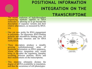 POSITIONAL INFORMATION
INTEGRATION ON THE
TRANSCRIPTOME
 The recent explosion of high-throughput
sequencing methods applied to RNA
molecules is allowing us to go beyond the
description of sequence variants and their
relative abundances, as measured by RNA-
seq.
 One can now probe for RNA engagement
in polysomes, for ribosomes, RNA binding
proteins and microRNAs binding sites, for
RNA secondary structure and for RNA
methylation.
 These descriptors produce a steadily
growing multidimensional array of
positional information on RNA sequences,
whose effective integration only would
bring to decipher the regulatory interplay
occurring between proteins, RNAs and
their modifications on the transcriptome.
 This interplay ultimately dictates the
degree of mRNA availability to translation,
and thus the occurrence of cell phenotypes.
 