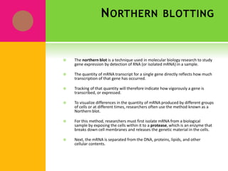 NORTHERN BLOTTING
 The northern blot is a technique used in molecular biology research to study
gene expression by detection of RNA (or isolated mRNA) in a sample.
 The quantity of mRNA transcript for a single gene directly reflects how much
transcription of that gene has occurred.
 Tracking of that quantity will therefore indicate how vigorously a gene is
transcribed, or expressed.
 To visualize differences in the quantity of mRNA produced by different groups
of cells or at different times, researchers often use the method known as a
Northern blot.
 For this method, researchers must first isolate mRNA from a biological
sample by exposing the cells within it to a protease, which is an enzyme that
breaks down cell membranes and releases the genetic material in the cells.
 Next, the mRNA is separated from the DNA, proteins, lipids, and other
cellular contents.
 