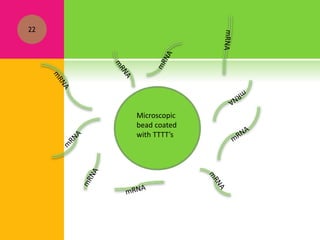 22
Microscopic
bead coated
with TTTT’s
 