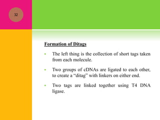Formation of Ditags
 The left thing is the collection of short tags taken
from each molecule.
 Two groups of cDNAs are ligated to each other,
to create a “ditag” with linkers on either end.
 Two tags are linked together using T4 DNA
ligase.
32
 