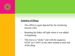 Isolation of Ditags
 The cDNA is again digested by the Anchoring
enzyme (AE)
 Breaking the linker off right where it was added
in beginning.
 This leaves a “sticky” end with the sequence
GTAC (or CAGT on the other strand) at each end
of the ditag.
36
 