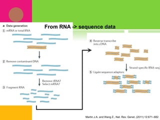Martin J.A. and Wang Z., Nat. Rev. Genet. (2011) 12:671–682
From RNA -> sequence data
 