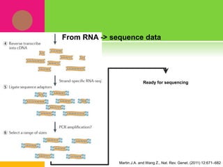 Martin J.A. and Wang Z., Nat. Rev. Genet. (2011) 12:671–682
From RNA -> sequence data
Ready for sequencing
 