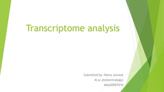 Transcriptome analysis
Submitted by:-Rama Jumwal
M.sc.(biotechnology)
MAU20PBT010
 