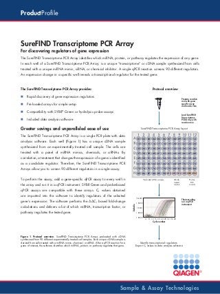 ProductProfile

SureFIND Transcriptome PCR Array
For discovering regulators of gene expression
The SureFIND Transcriptome PCR Array identifies which miRNA, protein, or pathway regulates the expression of any gene.
In each well of a SureFIND Transcriptome PCR Array, is a unique “transcriptome” or cDNA sample synthesized from cells
treated with a unique miRNA mimic, siRNA, or chemical inhibitor. A single qPCR reaction screens 90 different regulators.
An expression change in a specific well reveals a transcriptional regulator for the tested gene.

The SureFIND Transcriptome PCR Array provides:
n

Rapid discovery of gene expression regulators

n

Pre-loaded arrays for simple setup

n

Compatibility with SYBR® Green or hydrolysis probe assays

n

Protocol overview

Included data analysis software

Prepare reaction
mix with genespecific assay
and master mix

Load SureFIND
Transcriptome
PCR Array with
reaction mix

Greater savings and unparalleled ease of use

SureFIND Transcriptome PCR Array layout

The SureFIND Transcriptome PCR Array is a single PCR plate with data

01

03

04

05

06

07

08

09

10

11

14

15

16

17

18

19

20

21

22

23

24

25

synthesized from an experimentally treated cell sample. The cells are

02

13

analysis software. Each well (Figure 1) has a unique cDNA sample

12

26

27

28

29

30

31

32

33

34

35

36

treated with a panel of miRNA mimics, chemicals, or siRNAs. By

37

38

39

40

41

42

43

44

45

46

47

48

correlation, a treatment that changes the expression of a gene is identified

49

50

51

52

53

54

55

56

57

58

59

60

as a candidate regulator. Therefore, the SureFIND Transcriptome PCR

61

62

63

64

65

66

67

68

69

70

71

72

79

80

81

82

83

84

73

74

75

76

77

78

85

Arrays allow you to screen 90 different regulators in a single assay.

86

87

88

89

90 VTC VTC VTC VTC PPC PPC

To perform the assay, add a gene-specific qPCR assay to every well in

Preloaded cDNA samples

the array and run it in a qPCR instrument. SYBR Green and probe-based

Vehicletreated
controls

Positive
PCR
controls

qPCR assays are compatible with these arrays. CT values obtained
are imported into the software to identify regulators of the selected

1.E+001

calculations and delivers a list of which miRNA, transcription factor, or
pathway regulates the tested gene.

Delta Rn

gene’s expression. The software performs the ΔΔCT based fold-change

Thermocycling
run in qPCR
instrument

1.E-000
1.E-001
1.E-002
1.E-003

4

8 12 16 20 24 28 32 36 40

Cycle number

Figure 1. Protocol overview. SureFIND Transcriptome PCR Arrays preloaded with cDNA
synthesized from 90 different experimentally treated cell samples. Each unique cDNA sample is
derived from cells treated with a miRNA mimic, chemical, or siRNA. After a qPCR reaction for a
gene of interest, the software identifies which miRNA, protein, or pathway regulates that gene.

Identify transcriptional regulators:
Export CT values to data analysis software

Sample & Assay Technologies

 