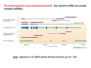 Transcriptomics and metabolomics | PDF