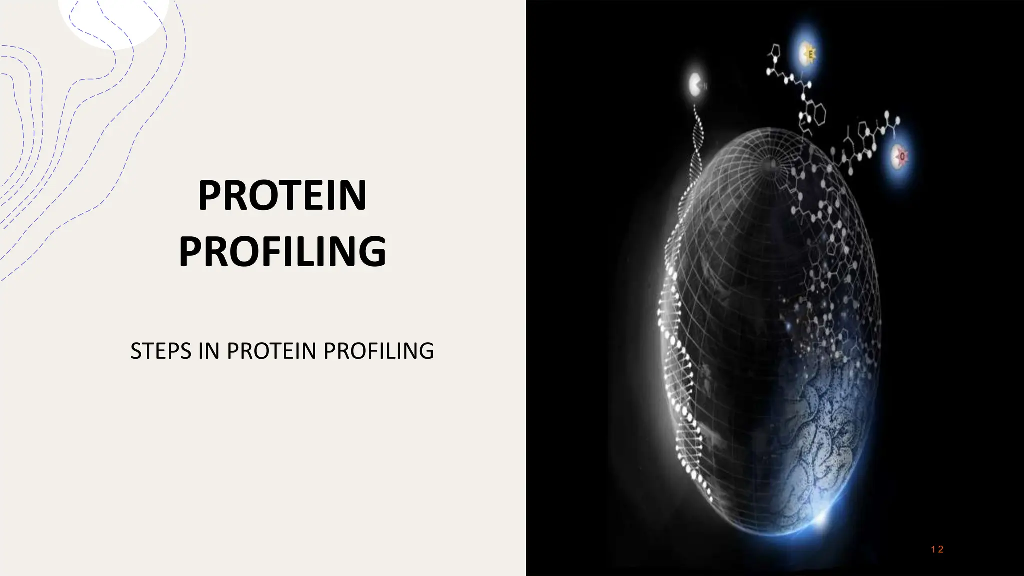 PROTEIN
PROFILING
STEPS IN PROTEIN PROFILING
1 2
 