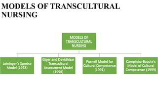TRANSCULTURAL NURSING PPT For Nursing Students | PPTX