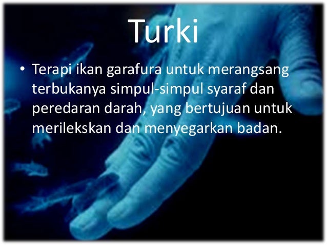 laporan keuangan trans 7 copy Transcultural nursing europe in