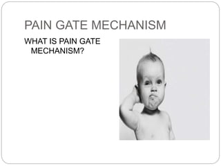 PAIN GATE MECHANISM
WHAT IS PAIN GATE
MECHANISM?
 