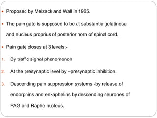  Proposed by Melzack and Wall in 1965.
 The pain gate is supposed to be at substantia gelatinosa
and nucleus proprius of posterior horn of spinal cord.
 Pain gate closes at 3 levels:-
1. By traffic signal phenomenon
2. At the presynaptic level by –presynaptic inhibition.
3. Descending pain suppression systems -by release of
endorphins and enkaphelins by descending neurones of
PAG and Raphe nucleus.
 