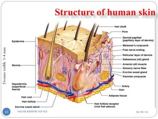 06/04/16SAGAR KISHOR SAVALE10
 