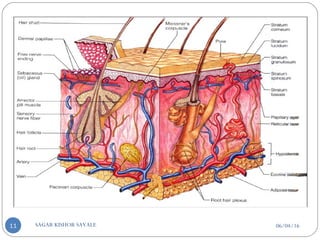 06/04/16SAGAR KISHOR SAVALE11
 